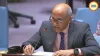 India Rebukes Pakistan at UNSC, Says Cross-Border Terrorism Has Undermined Indus Waters Treaty