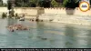 MP Government to Prepare Scientific Betwa River Restoration Plan Under Namami Gange