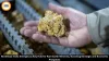 Northeast India Emerges as Strategic Hub for Rare Earth Mineral Development