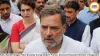 Rahul Gandhi Alleges Police Brutality During Student Protest, Demands Education Minister's Resignation