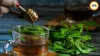Monsoon Immunity Boost: 5 Herbal Kadha Recipes for Rainy Season 2026