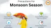 Monsoon Disease Prevention: Natural Health Tips from Experts for 2026
