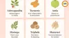 Monsoon Diet Guide: 10 Natural Immunity-Boosting Foods for Rainy Season 2026
