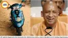 UP Cabinet Approves Free Scooters for Meritorious Girls, Clears ₹22,400-Crore Vindhya Expressway
