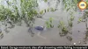 Balod Garage Mechanic Dies While Fishing in Gondli Reservoir