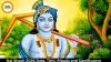 Hal Shasti 2026 Date, Tithi, Rituals and Significance
