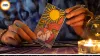Daily Horoscope Today, August 9, 2026 | All Zodiac Signs