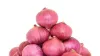 Rs 35 Government Onion Versus Rs 60 Market Onion: Who Can Actually Buy It?