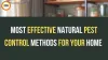Natural Monsoon Cleaning Hacks: Pest Control Tips for Indian Homes 2026