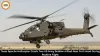 Texas Apache Helicopter Crash: 2 US Army Soldiers Killed Near Fort Hood