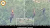  Tourist Rescued After Zip Line Malfunction at Maharashtra's Toranmal Hill Station