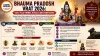 Bhauma Pradosh Vrat 2026: Date, Puja Timings, Rituals and Significance