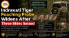 Indravati Tiger Poaching Probe Widens After Three Skins Seized