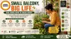 Small Balcony, Big Life: Mini Farms Grow in Indian Homes