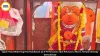 Ujjain Road Widening Hits Roadblock as 8-Ft Hanuman Idol Refuses to Move, Temple Already Demolished