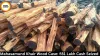 Mahasamund Khair Wood Case: ₹81 Lakh Cash Seized