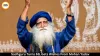 Sadhguru Turns 69, Receives Birthday Wishes from MP CM Mohan Yadav, Pema Khandu and Others