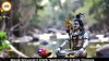 Masik Shivaratri 2026 on September 9: Check Tithi, Puja Timings and Nishita Kaal