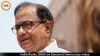 India Ranks 106th on Electoral Democracy Index; P Chidambaram Flags Lowest Score Since 1975