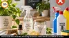 Eco-Friendly Cleaning: What Homemade Solutions Can Do