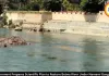 MP Government to Prepare Scientific Betwa River Restoration Plan Under Namami Gange