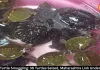 Indore Turtle Smuggling: 30 Turtles Seized, Maharashtra Link Probed