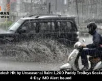 Madhya Pradesh Hit by Unseasonal Rain: 1,200 Paddy Trolleys Soaked in Bhind, 4-Day IMD Alert Issued