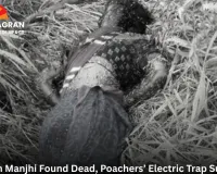Woman Found Dead in Raigarh Forest, Suspected Electrocution from Poachers’ Trap