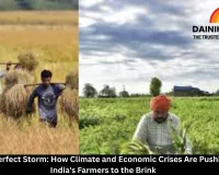 The Perfect Storm: How Climate and Economic Crises Are Pushing India's Farmers to the Brink