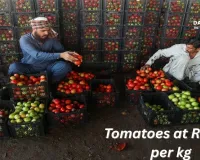 Prices of tomatoes at Rs 600 per kg in Pakistan