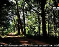 Supreme Court's Historic Directive: Declare Jharkhand's Saranda Forest a Wildlife Sanctuary