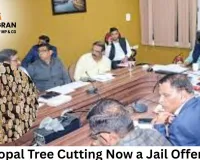 Bhopal Tree Cutting Now a Jail Offence; Two Engineers Suspended Over CM Infra Negligence