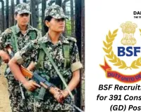 Government Job Alert: BSF Recruitment for 391 Constable (GD) Posts — Apply by November 4