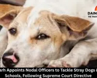 Chhattisgarh Appoints Nodal Officers to Tackle Stray Dogs & Cattle in Schools, Following Supreme Court Directive