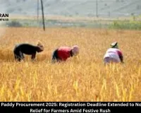 Chhattisgarh Paddy Procurement 2025: Registration Deadline Extended to November 30 – Relief for Farmers Amid Festive Rush