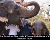 CITES Standing Committee Clears India & Vantara: No Evidence of Wildlife Trade Violations Found