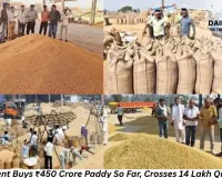 Government Purchases ₹450 Crore Worth of Paddy So Far: Over 14 Lakh Quintals Procured