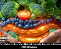 Gut Health Revolution: 4 Everyday Natural Hacks to Transform Digestion in Busy 2025 Lifestyles
