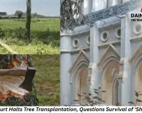 MP High Court Halts Tree Transplantation, Questions Survival of ‘Shifted’ Trees