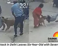 Pitbull Attack in Delhi Leaves Six-Year-Old with Severe Injuries; Owner Arrested