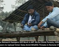 Poor Mobile Network Hampers SIR Work in MP: BLOs Climb Forests, Hilltops, and Watchtowers to Upload Voter Data Amid Wildlife Threats in Remote Villages