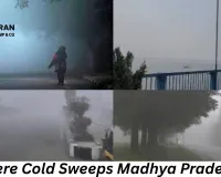 Severe Cold Grips Madhya Pradesh; School Timings Revised as IMD Issues Widespread Cold Wave Alert