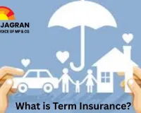 What is Term Insurance? A Comprehensive Guide on Benefits, Types, and Who Should Opt for It