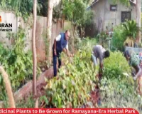 Bastar Medicinal Plants to Be Grown for Ramayana-Era Herbal Park on Saryu River in Ayodhya