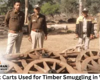 Bullock Carts Used for Timber Smuggling in Vidisha; Forest Department Seizes Three, Accused Flee