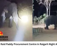 Elephants Raid Paddy Procurement Centre in Raigarh Night After Night