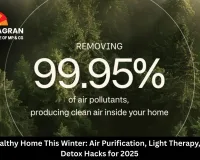 Create a Healthy Home This Winter: Air Purification, Light Therapy, and Digital Detox Hacks for 2025