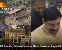 Last Day of MP Assembly Session Likely to Witness Heated Exchanges Over Singrauli Tree Felling, RGPV Corruption Allegations