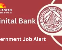 Government Job Alert: Nainital Bank Invites Applications for 185 Posts; Salary Up to ₹93,960, Age Limit 40 Years