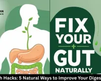 Gut Health Hacks: 5 Natural Ways to Improve Your Digestion Daily